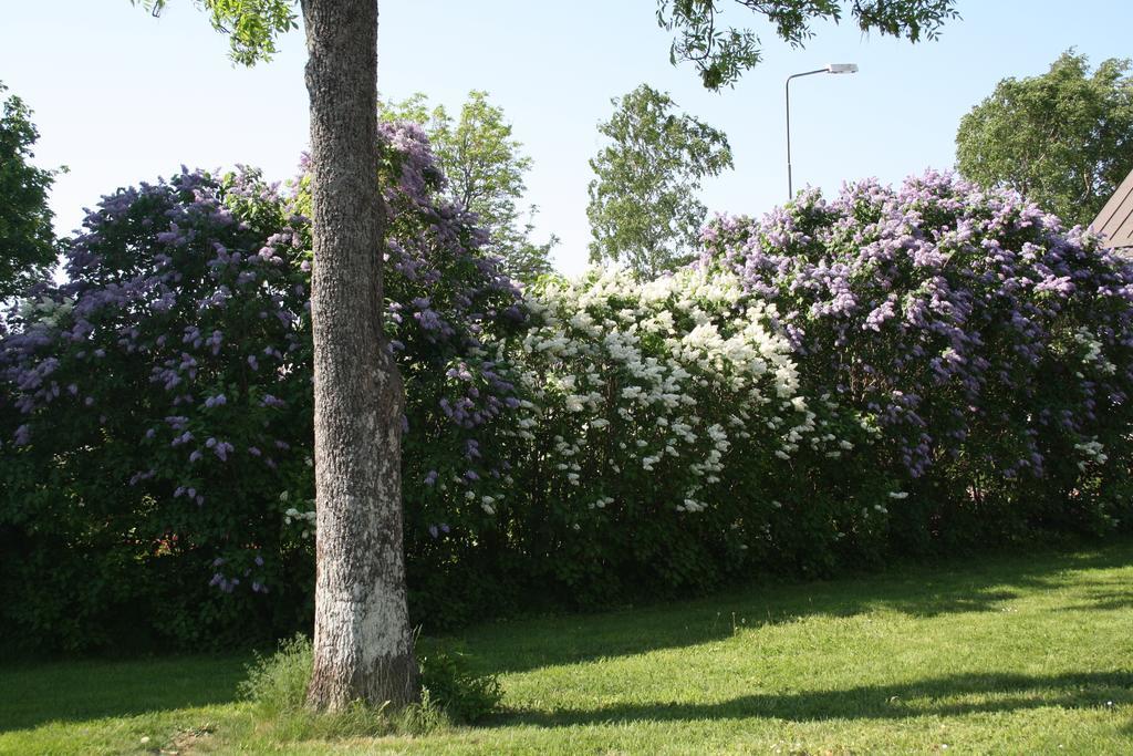 Gaesthem Kronan Bed and Breakfast Mariehamn Værelse billede